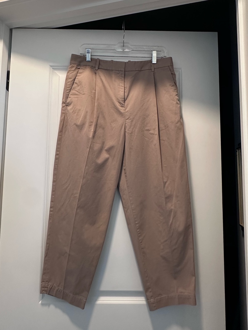 Everlane High Rise Pleated Tapered Ankle Pants Taupe Khaki Size 10